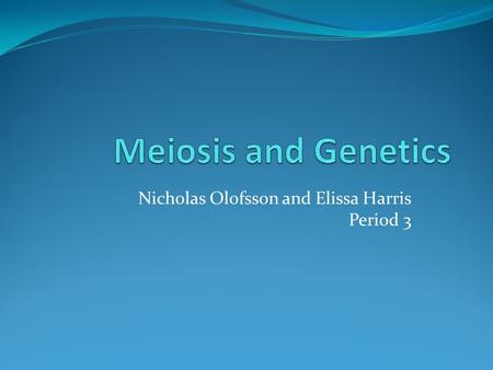 Nicholas Olofsson and Elissa Harris Period 3. Meiosis Process that converts diploid nuclei into haploid nuclei Occurs in the sex organs-testes and ovaries.