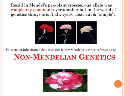 N ON -M ENDELIAN G ENETICS 1 Recall in Mendel’s pea-plant crosses, one allele was completely dominant over another but in the world of genetics things.