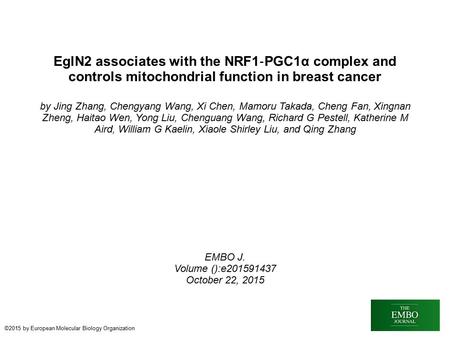 EglN2 associates with the NRF1 ‐ PGC1α complex and controls mitochondrial function in breast cancer by Jing Zhang, Chengyang Wang, Xi Chen, Mamoru Takada,