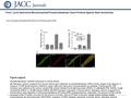 Date of download: 7/2/2016 Copyright © The American College of Cardiology. All rights reserved. From: Cyclic Adenosine Monophosphate Phosphodiesterase.