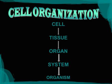 CELL TISSUE ORGAN SYSTEM ORGANISM. Circulatory Digestive Endocrine Excretory Immune Muscular Nervous Reproductive Respiratory Skeletal Integumentary.