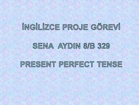 PRESENT PERFECT TENSE Positive Sentence : Subject + have / has + verb 3 + ( object ). Negative Sentence : Subject + haven’t / hasn’t + verb 3 + ( object.