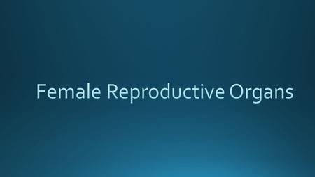 KEY IDEA: Main functions: To produce female gametes or eggs (ova) also known as oocytes. To allow for internal fertilization. To provide for internal.