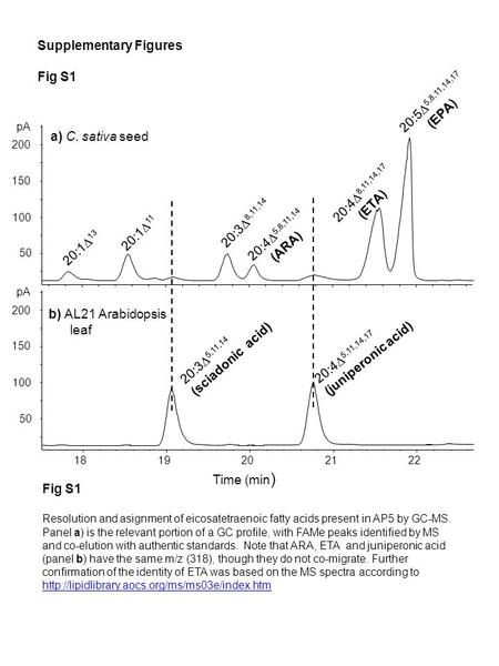 Time (min ) 1819202122 pA 50 100 150 200 20:1  13 pA 50 100 150 200 20:3  5,11,14 (sciadonic acid) 20:4  5,11,14,17 (juniperonic acid) a) C. sativa.