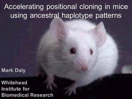 Accelerating positional cloning in mice using ancestral haplotype patterns Mark Daly Whitehead Institute for Biomedical Research.