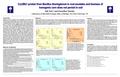 Cry3Bb1 protein from Bacillus thuringiensis in root exudates and biomass of transgenic corn does not persist in soil Isik Icoz* and Guenther Stotzky Laboratory.