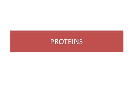 PROTEINS. Help build and maintain body tissue including muscles,bones, and teeth. Contributes to cell growth. Helps maintain fluid and electrolyte balance.