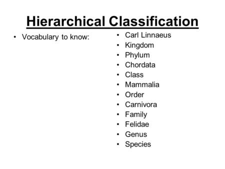 Hierarchical Classification