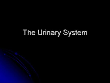 The Urinary System. Urinary System Structures pair of kidneys pair of kidneys remove substances from blood, form urine, help regulate certain metabolic.