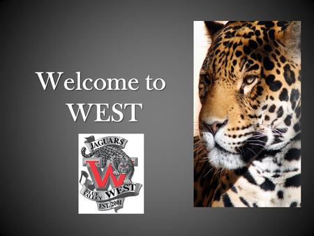 Welcome to WEST. BV West Counselors Mr. Stone Students A-C Mrs. Freestone Students D-H Mrs. Urenda Students I-Mc Mrs. Lebar Student S-Z Ms. Coronado Students.