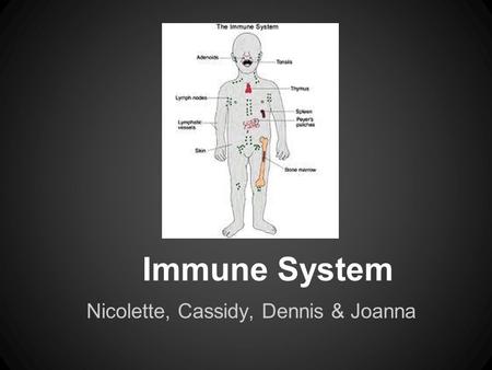 Immune System Nicolette, Cassidy, Dennis & Joanna.