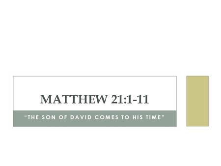 “THE SON OF DAVID COMES TO HIS TIME” MATTHEW 21:1-11.