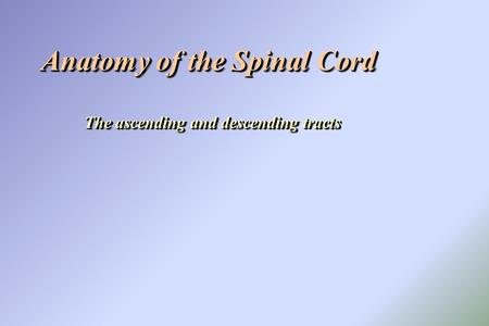 Anatomy of the Spinal Cord The ascending and descending tracts Anatomy of the Spinal Cord The ascending and descending tracts.