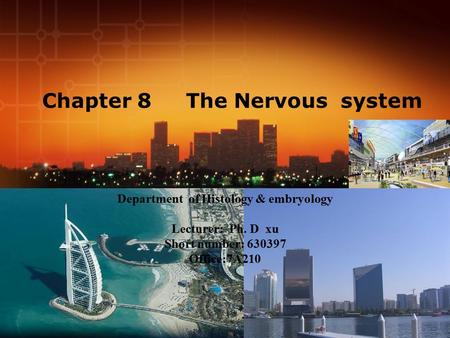 Chapter 8 The Nervous system Department of Histology & embryology Lecturer: Ph. D xu Short number: 630397 Office:7A210.