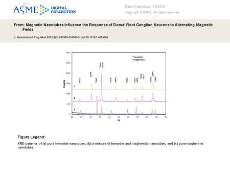 Date of download: 7/3/2016 Copyright © ASME. All rights reserved. From: Magnetic Nanotubes Influence the Response of Dorsal Root Ganglion Neurons to Alternating.