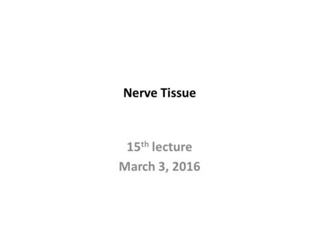 Nerve Tissue 15 th lecture March 3, 2016. Organization of the Nervous System Two main divisions: The Central Nervous System (CNS) - Consists of the brain.