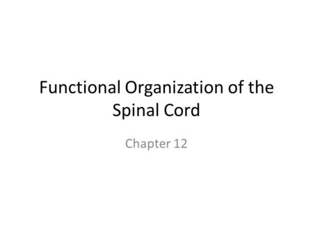 Functional Organization of the Spinal Cord Chapter 12.