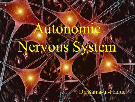 Autonomic Nervous System Dr. Sama-ul-Haque.