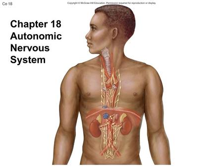 Chapter 18 Autonomic Nervous System