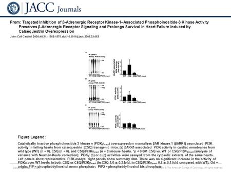 Date of download: 7/3/2016 Copyright © The American College of Cardiology. All rights reserved. From: Targeted Inhibition of β-Adrenergic Receptor Kinase-1–Associated.