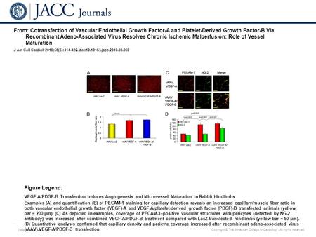 Date of download: 7/3/2016 Copyright © The American College of Cardiology. All rights reserved. From: Cotransfection of Vascular Endothelial Growth Factor-A.