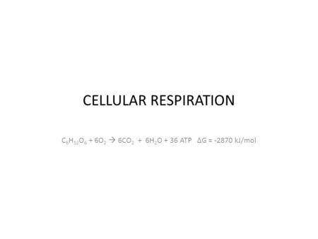 CELLULAR RESPIRATION C 6 H 12 O 6 + 6O 2  6CO 2 + 6H 2 O + 36 ATP ∆G = -2870 kJ/mol.