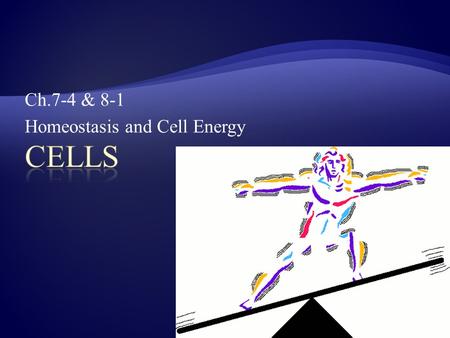 Ch.7-4 & 8-1 Homeostasis and Cell Energy. POINT > Define homeostasis POINT > Compare homeostasis in unicellular and multicellular organisms POINT > Identify.