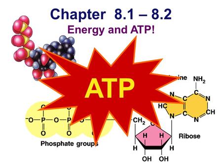 Chapter 8.1 – 8.2 Energy and ATP! ATP Energy needs of life  Organisms are endergonic systems  What do we need energy for?   synthesis (biomolecules)