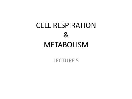 CELL RESPIRATION & METABOLISM LECTURE 5. FOR AN OVERVIEW OF CELLULAR RESPIRATION, CLICK HERE (2 min).HERE Cellular respiration includes aerobic and anaerobic.