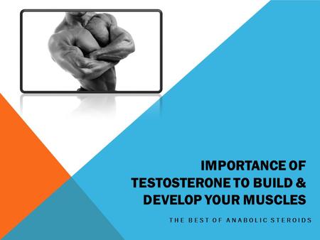 IMPORTANCE OF TESTOSTERONE TO BUILD & DEVELOP YOUR MUSCLES THE BEST OF ANABOLIC STEROIDS.