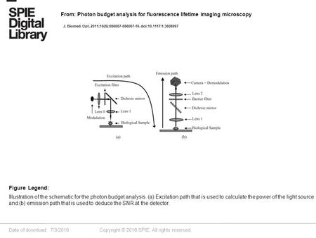 Date of download: 7/3/2016 Copyright © 2016 SPIE. All rights reserved. Illustration of the schematic for the photon budget analysis. (a) Excitation path.