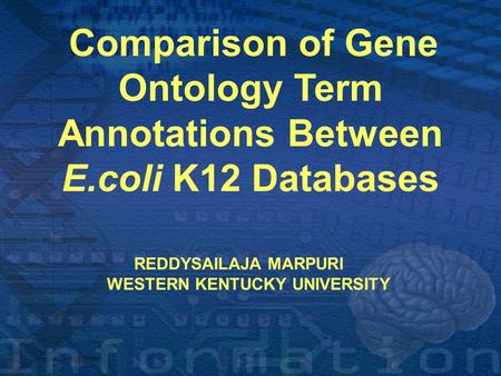 ` Comparison of Gene Ontology Term Annotations Between E.coli K12 Databases REDDYSAILAJA MARPURI WESTERN KENTUCKY UNIVERSITY.