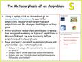 Using a laptop, click on chrome and go to www.safesearchkids.com to search for amphibians. Research different types of amphibians and the changes that.