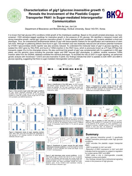 Characterization of gig1 (glucose insensitive growth 1) Reveals the Involvement of the Plastidic Copper Transporter PAA1 in Sugar-mediated Interorganellar.