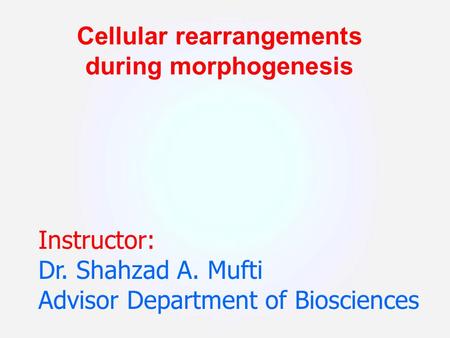 Cellular rearrangements during morphogenesis