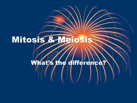 Mitosis & Meiosis What’s the difference?. Write down these terms: Mitosis Meiosis Diploid Haploid Sex chromosomes in a Male? Sex chromosomes in a Female?