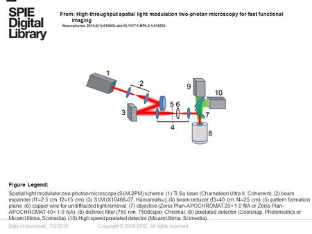 Date of download: 7/5/2016 Copyright © 2016 SPIE. All rights reserved. Spatial light modulator-two-photon microscope (SLM-2PM) scheme: (1) Ti:Sa laser.