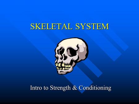 SKELETAL SYSTEM Intro to Strength & Conditioning.