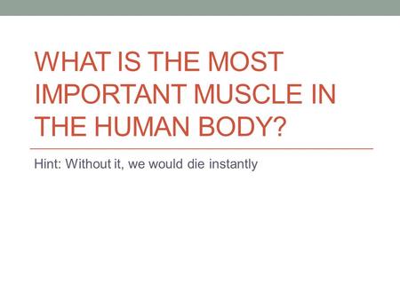 WHAT IS THE MOST IMPORTANT MUSCLE IN THE HUMAN BODY? Hint: Without it, we would die instantly.