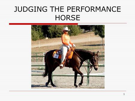 1 JUDGING THE PERFORMANCE HORSE. 2 Possible Classes  Western Pleasure  Hunter Under Saddle  Hunter Hack  Reining  Western Riding  Hunt Seat Equitation.