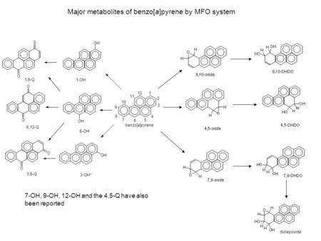 O O 1 2 3 4 5 6 7 8 9 10 11 12 benzo[a]pyrene 1-OH 6-OH 3-OH* 1,6-Q 6,12-Q 3,6-Q OH H H HO O H H diolepoxide Major metabolites of benzo[a]pyrene by MFO.