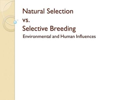 Natural Selection vs. Selective Breeding