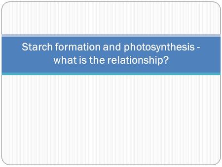 Starch formation and photosynthesis - what is the relationship?