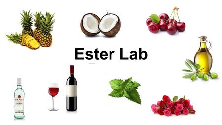 Ester Lab.