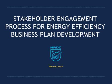 STAKEHOLDER ENGAGEMENT PROCESS FOR ENERGY EFFICIENCY BUSINESS PLAN DEVELOPMENT March, 2016.