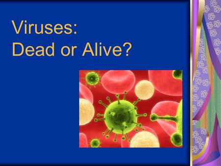 Viruses: Dead or Alive?. Viral Structure Viruses are not cells Basic Structure: Protein Coat surrounding a Nucleic Acid Core (either DNA or RNA)