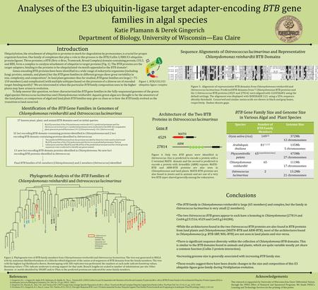 Analyses of the E3 ubiquitin-ligase target adapter-encoding BTB gene families in algal species Katie Plamann & Derek Gingerich Department of Biology, University.