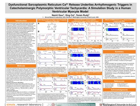 Dysfunctional Sarcoplasmic Reticulum Ca 2+ Release Underlies Arrhythmogenic Triggers in Catecholaminergic Polymorphic Ventricular Tachycardia: A Simulation.