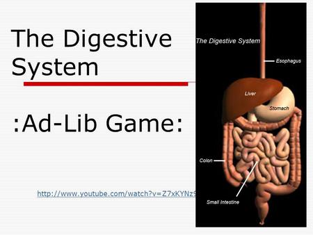 The Digestive System :Ad-Lib Game: