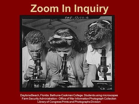 Zoom In Inquiry Daytona Beach, Florida. Bethune-Cookman College. Students using microscopes Farm Security Administration - Office of War Information Photograph.